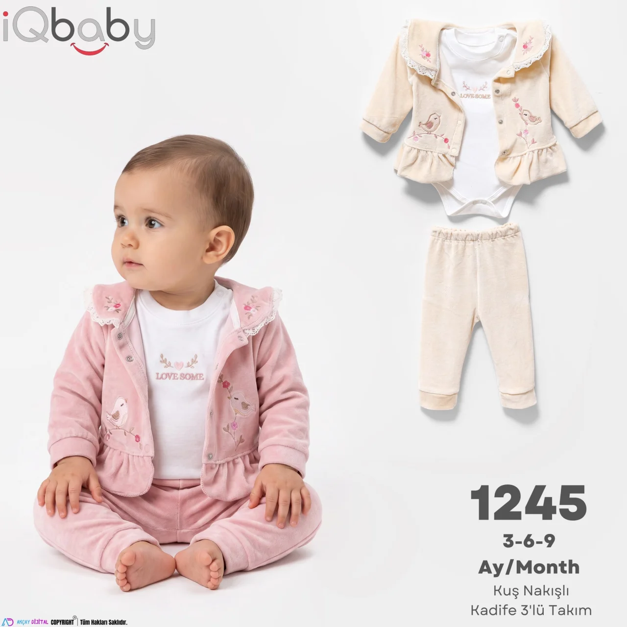 iqbaby model 1245