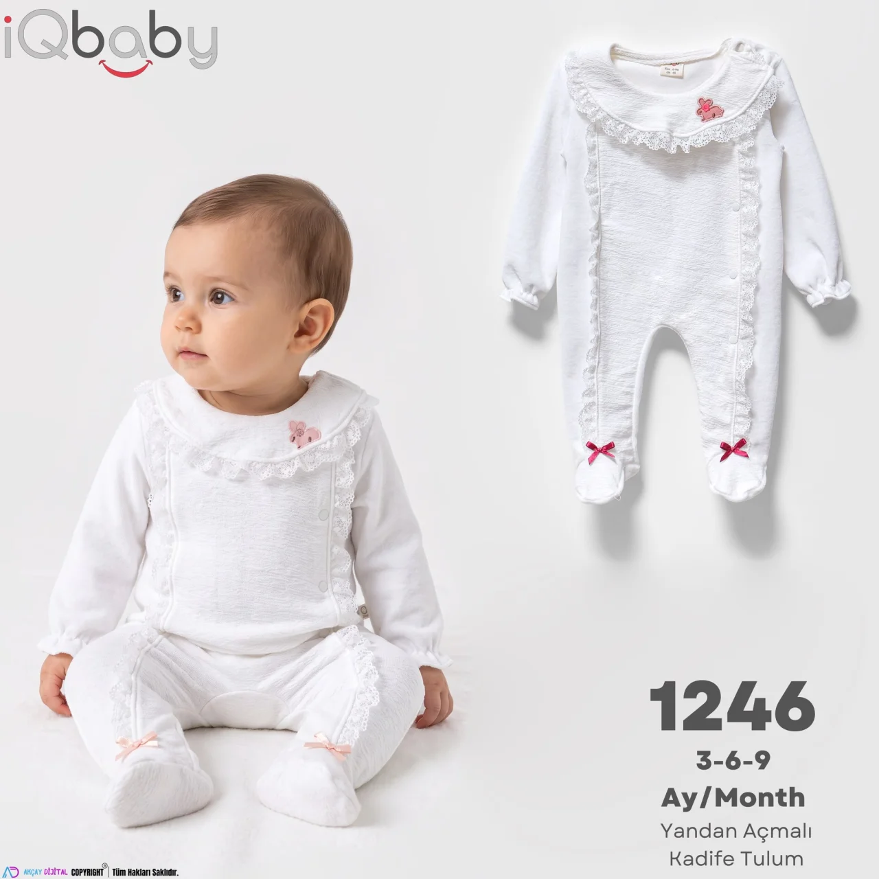 iqbaby model 1246